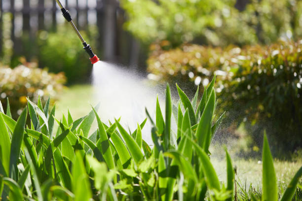 24/7 Emergency Mosquito Control experts in Oakfield, WI